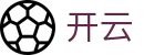 开云-Kaiyun官方网站首页-手机客户端下载